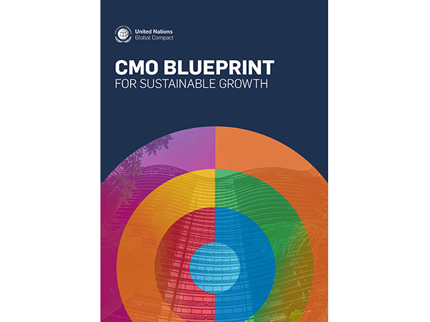 Cmo Blueprint