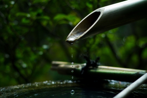 Sustainable Innovation